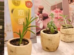 -恋暖初茶(万菱汇店)