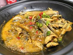 -农乐园食府(梅城镇店)