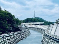 -福道