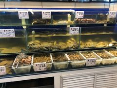 水产区-蓬莱春(芝罘店)