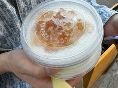 -义顺牛奶公司(新马路老店)