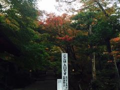 -常寂光寺