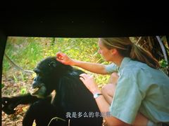 -曹杨影城(曹杨店)
