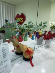 -斐尔国际皮肤管理中心