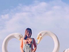 -百万葵园