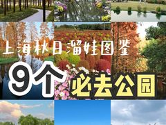 -上海山野camping·户外天幕烧烤·团建拓展营地