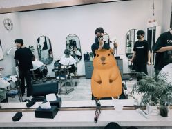 -New Fashion·新时尚形象设计