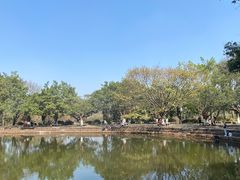 -番禺大夫山森林公园