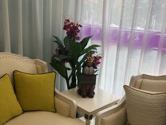 -宠爱国际动物医院· 猫科· 外科·中兽医(长白店)