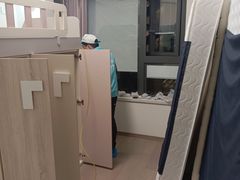 -Liteclear日本进口强效除甲醛检测治理(旗舰店)