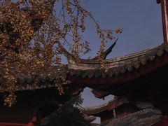 -鸡鸣寺