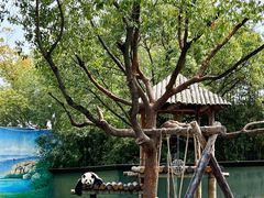 -上海野生动物园
