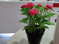 -苏宁易购(成都春熙路店)