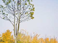 -南京眼步行桥