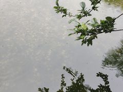 -月坛公园
