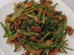 孜然炒羊肉-那达慕蒙古风味酒楼