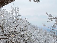 -紫金山山顶公园