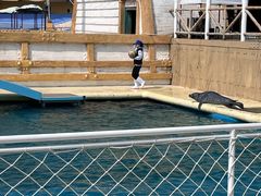 -秦皇岛乐岛海洋王国