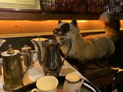-杂咖zacup(领展中心城店)