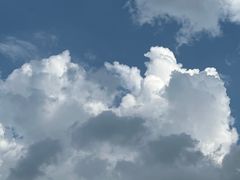 -黄阿姨锅贴大王(万航渡路店)