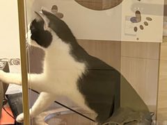 -贝来恩24H动物医院·转诊中心(稻香路店)