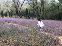 -嵖岈山风景区