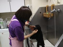 -北京观赏动物医院·24小时大型综合·猫专科·异宠专科