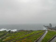 -涉地可支