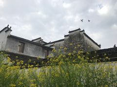 -黟县屏山村