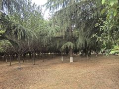 -西安外国语大学(长安校区)