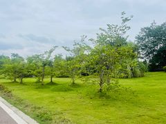 -中国天府农业博览园