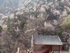 -北京凤凰岭