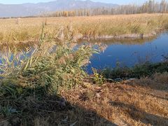 -野鸭湖国家湿地公园