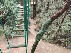 -芦仙山景区-飞越丛林探险乐园