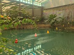 -第五季龙水凤港生态露营农场