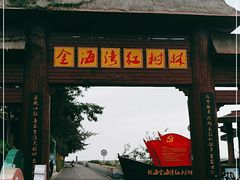 -北海金海湾红树林生态旅游区