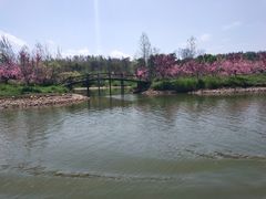 -常德桃花源景区