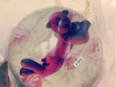 4MIX-珍妮曲奇聪明小熊(尖沙咀店)