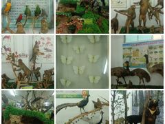 -广东茂名森林公园