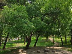 -元大都城垣遗址公园