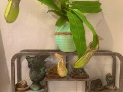 -Rabbit Cafe私房西餐甜点咖啡(栖霞路店)