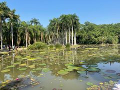 -中国科学院西双版纳热带植物园
