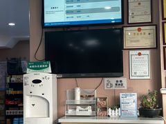 -天使宠物医院·犬猫分诊(彩虹店)