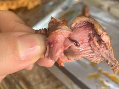 -杨姐大片肉烧烤
