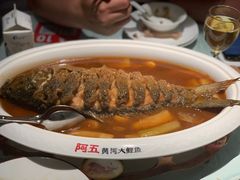 -阿五黄河大鲤鱼(英协路店)