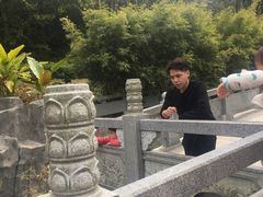 -神光山国家森林公园