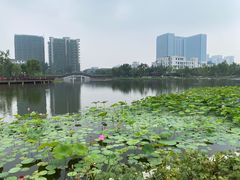-西海子公园