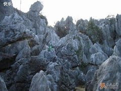 -千岛湖石林