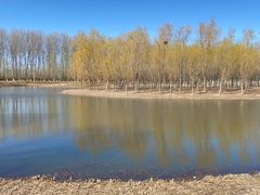 -东郊湿地公园