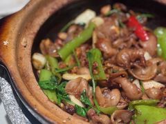 -煲煲好(朝阳门店)